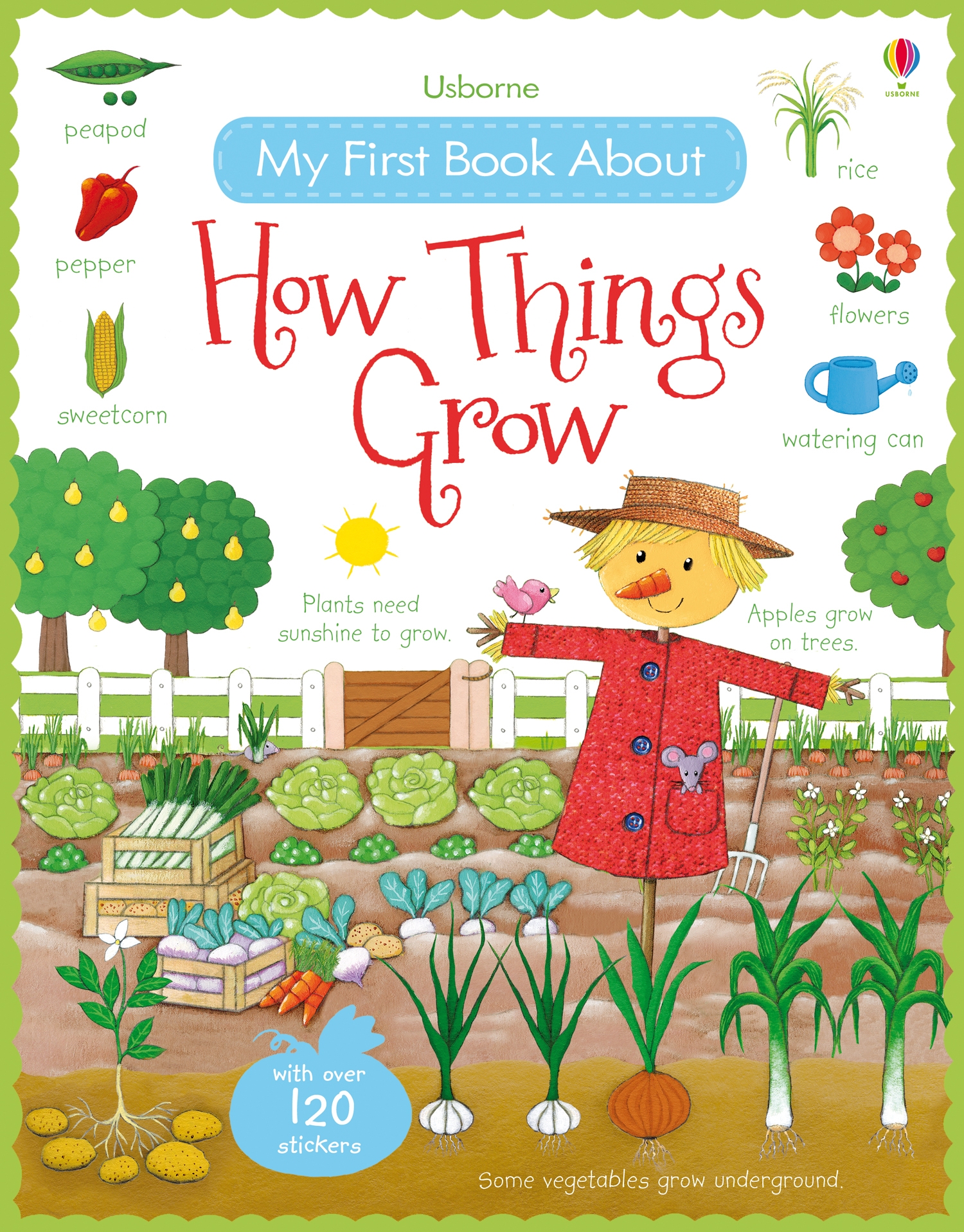 Be　Usborne　My　Book　Grow　Things　First　How　About　Curious