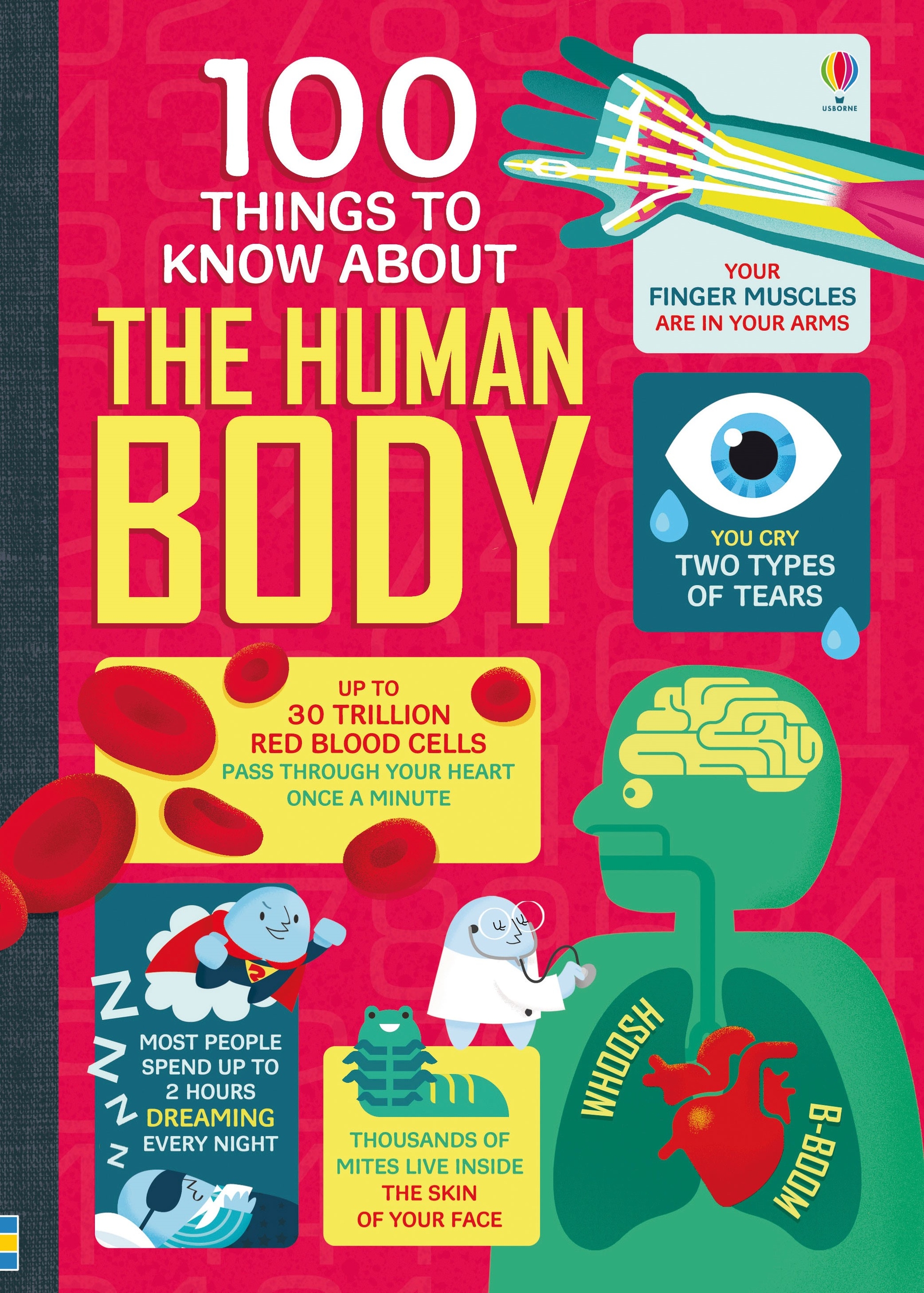 100 Things to Know About the Human Body | Usborne | Be Curious