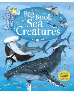 Big Baby's Book of Life in the Sea: Amazing Animals that Live in