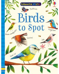 Birds to Spot | Usborne | Be Curious