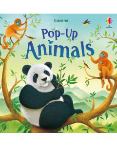 Pop-Ups - Series - Books | Usborne | Be Curious