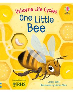 One Little Bee | Usborne | Be Curious