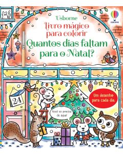Quantos dias faltam para o Natal? | Usborne | Livros para descobrir o mundo
