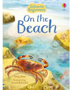 Beginners - Series - Books | Usborne | Be Curious