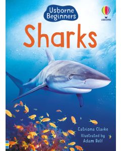 Beginners - Series - Books | Usborne | Be Curious