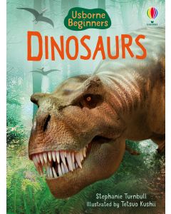 Beginners - Series - Books | Usborne | Be Curious