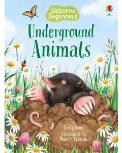 Beginners - Series - Books | Usborne | Be Curious