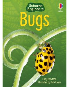 Beginners - Series - Books | Usborne | Be Curious