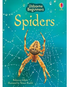 Spiders (Usborne Beginners) | Usborne | Be Curious