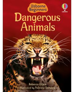 Beginners - Series - Books | Usborne | Be Curious