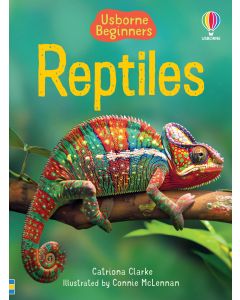 Beginners - Series - Books | Usborne | Be Curious