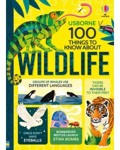 100 THINGS TO KNOW ABOUT - Series - Books | Usborne Publishing