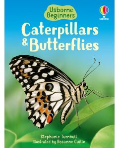 Beginners - Series - Books | Usborne | Be Curious