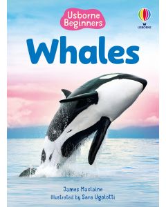 Beginners - Series - Books | Usborne | Be Curious