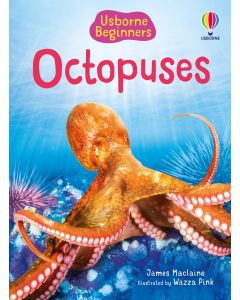 Beginners - Series - Books | Usborne | Be Curious