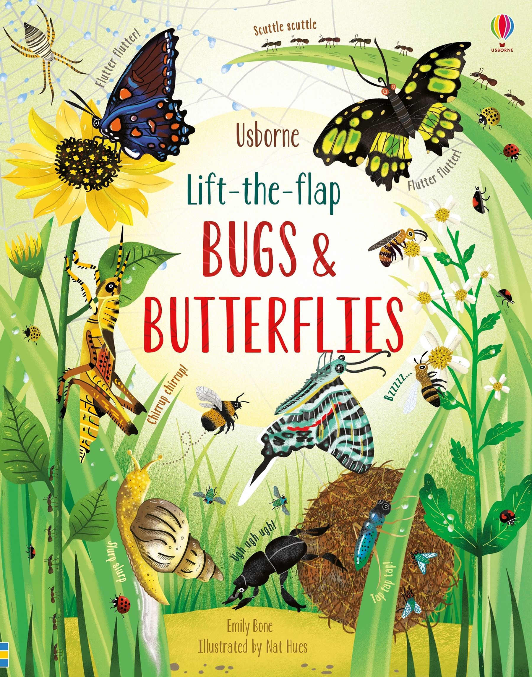 Lift-the-Flap Bugs and Butterflies book cover