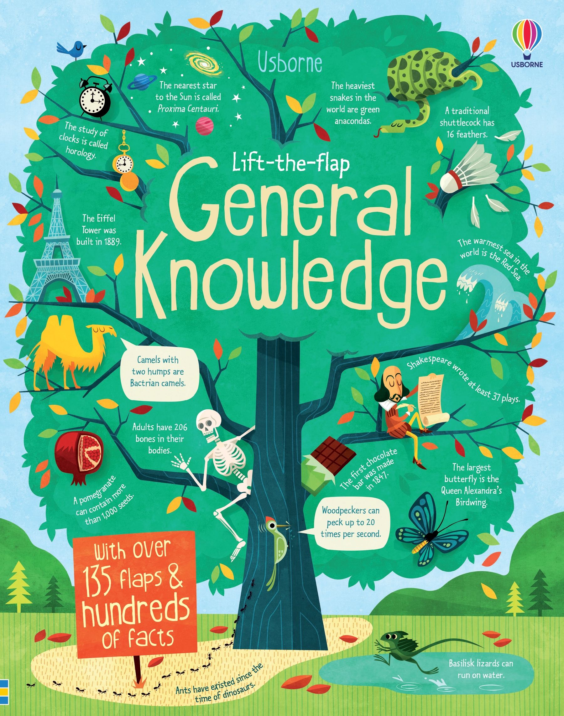 Lift-the-Flap General Knowledge | Usborne | Be Curious