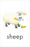 Poppy and Sam's First Words Flashcards spread