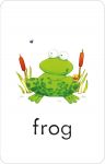 Poppy and Sam's First Words Flashcards spread