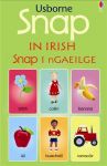 Snap in Irish book cover