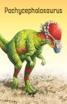 Dinosaur Snap spread