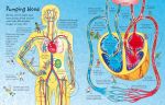 See Inside Your Body spread
