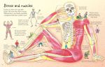 See Inside Your Body spread