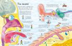 See Inside Your Body spread