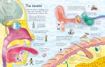 See Inside Your Body spread