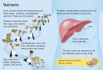 Why Do We Eat? spread