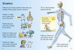 Why Do We Eat? spread