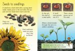 How Flowers Grow spread
