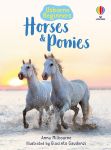 Horses and Ponies book cover