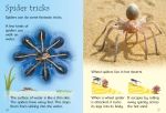 Spiders spread