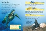 Under the Sea spread