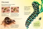 Bugs spread