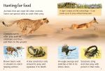 Dangerous Animals spread