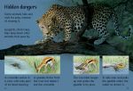 Dangerous Animals spread