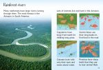 Rainforests spread