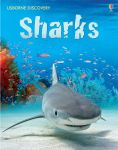 Discovery Sharks book cover