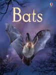 Bats book cover
