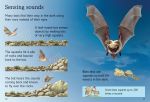 Bats spread