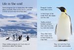 Penguins spread
