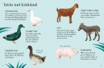 Usborne Minis Naturführer: Tiere auf dem Bauernhof innenansicht