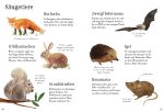 Mein Usborne-Naturführer innenansicht