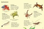 Usborne Minis Naturführer: Küstenbewohner innenansicht