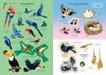 Mein Immer-wieder-Stickerbuch: Vögel innenansicht
