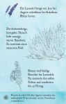 Natur-Entdecker-Karten: Unsere heimischen Blumen innenansicht