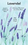 Natur-Entdecker-Karten: Unsere heimischen Blumen innenansicht
