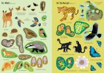 Mein Immer-wieder-Stickerbuch: Tiere der Welt innenansicht